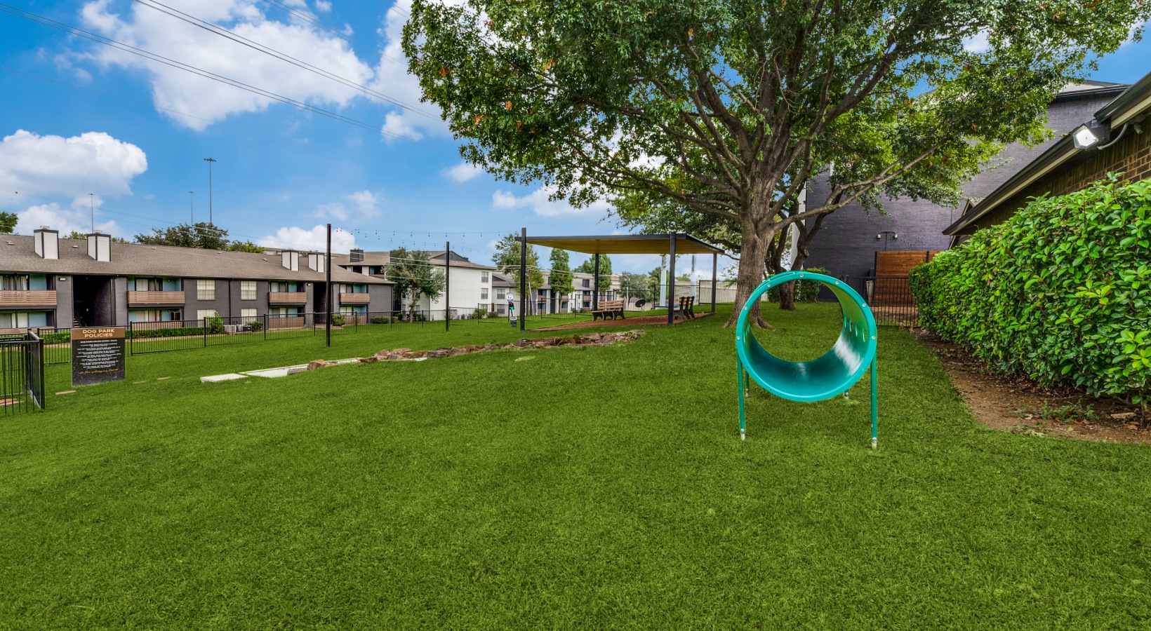 a green lawn with a dog park and a tree at The  Kace
